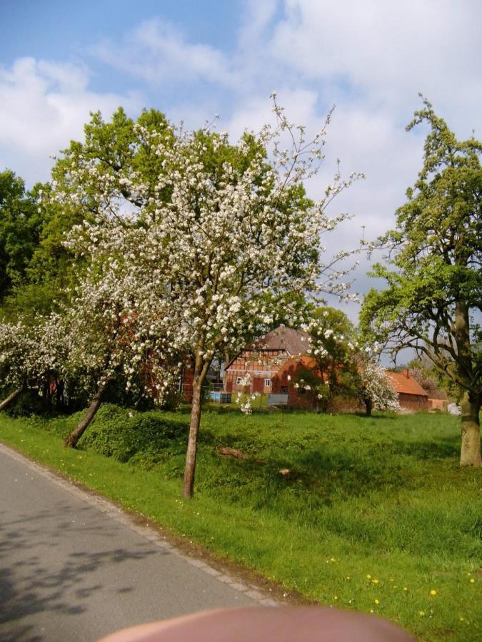 Lejlighed Am Storchennest